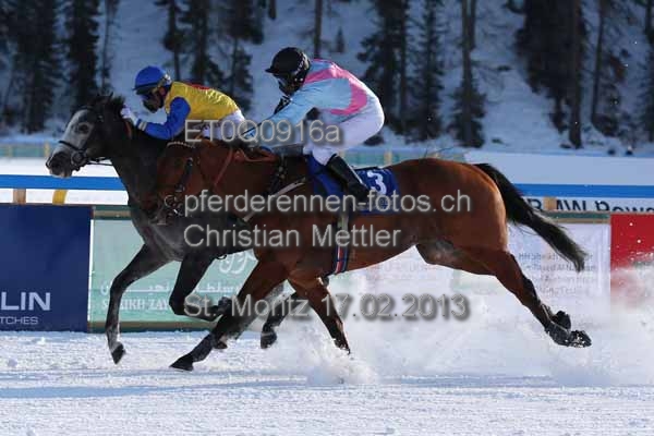 ET0Q0916a prot